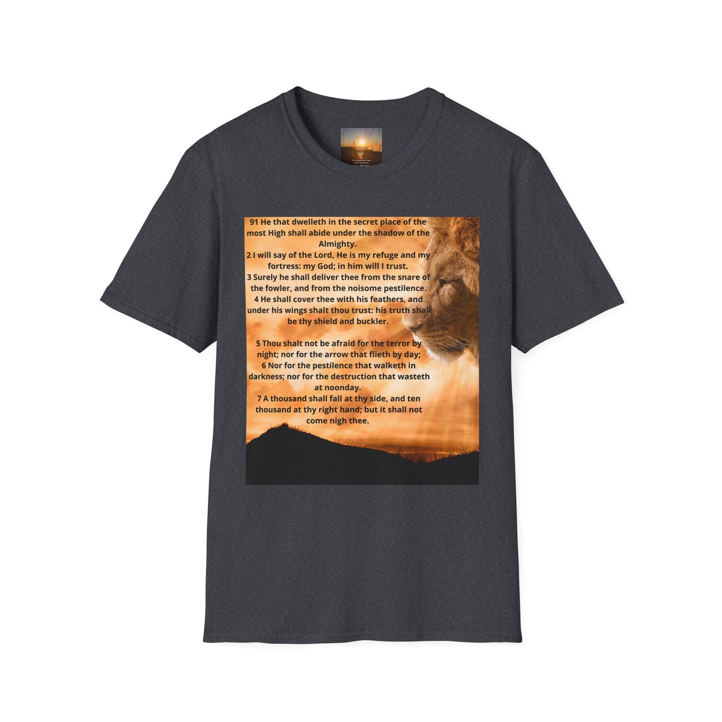 PSALM 91 Inspirational Lion T-Shirt, Motivational Tee, Unisex Quote Shirt, Positive Vibes Wear, Nature Lover Gift