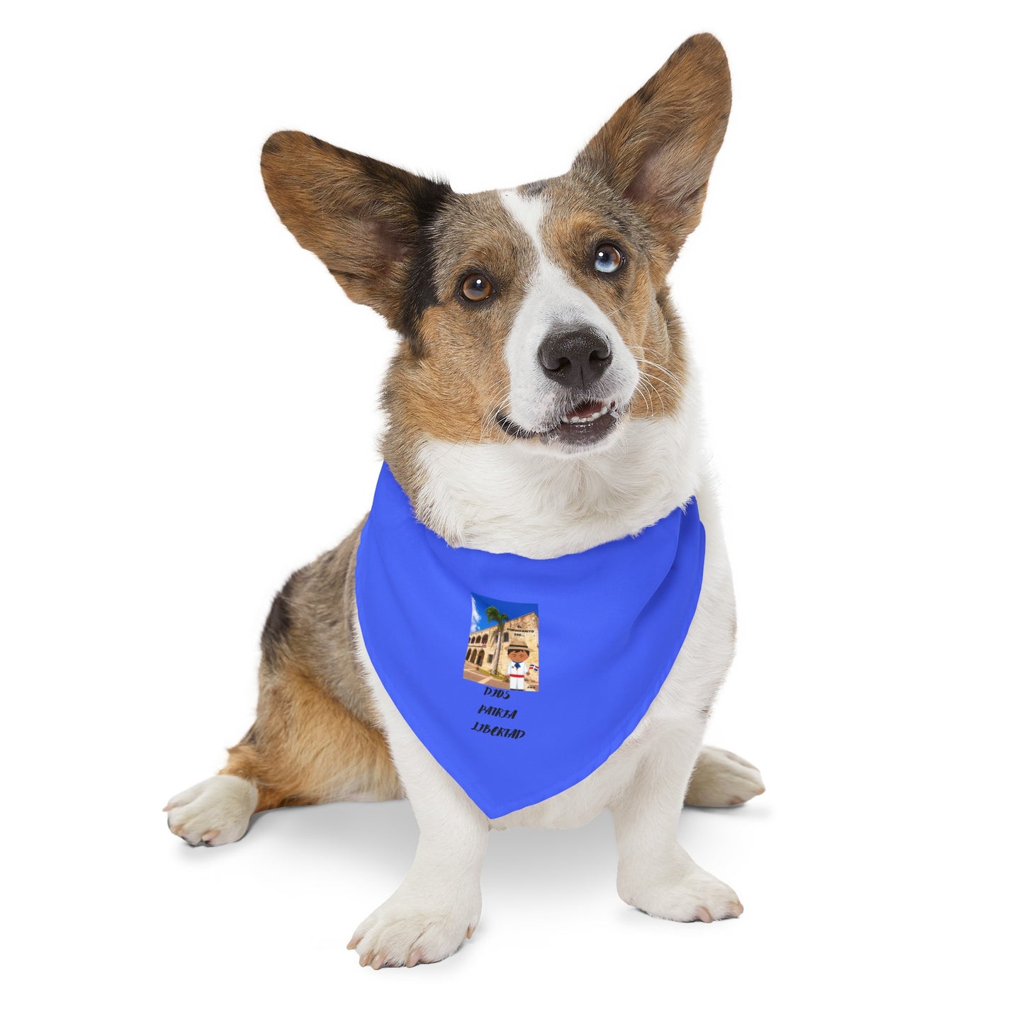 DIOS PATRIA LIBERTAD EL DOMINICANITO ESE Pet Bandana Collar
