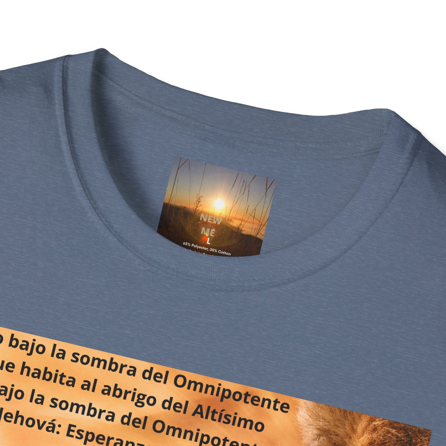 SALMO 91 Unisex Inspirational Lion T-Shirt | Vintage Style Tee, Motivational Quote Shirt, Wildlife Lover Gift, Nature Inspired Apparel, Perfect [...]