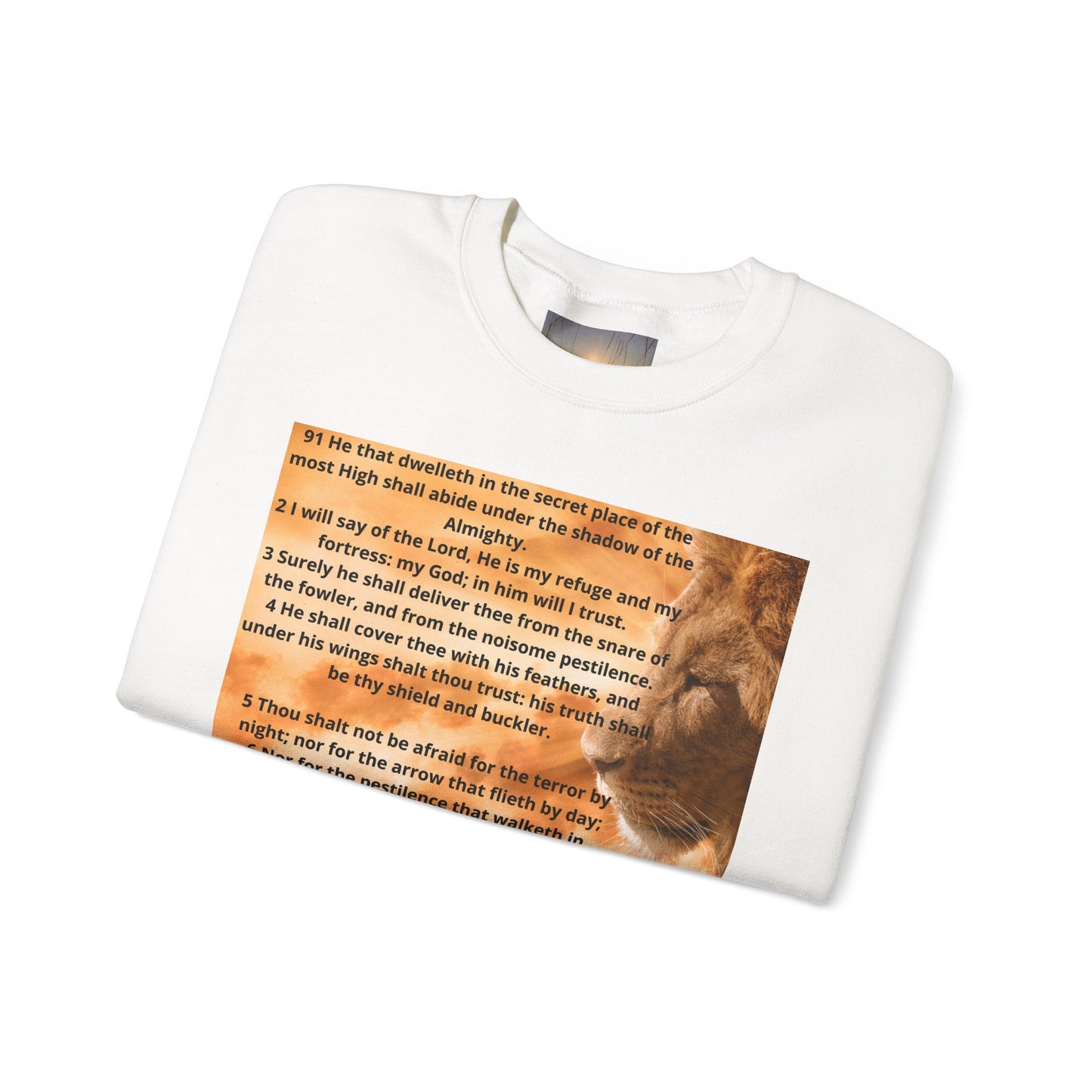 PSALM 91 Inspirational Lion Sweatshirt, Motivational Crewneck, Animal Lover Gift, Cozy Unisex Apparel, Unique Quote Sweatshirt, Gift for Nature [...]