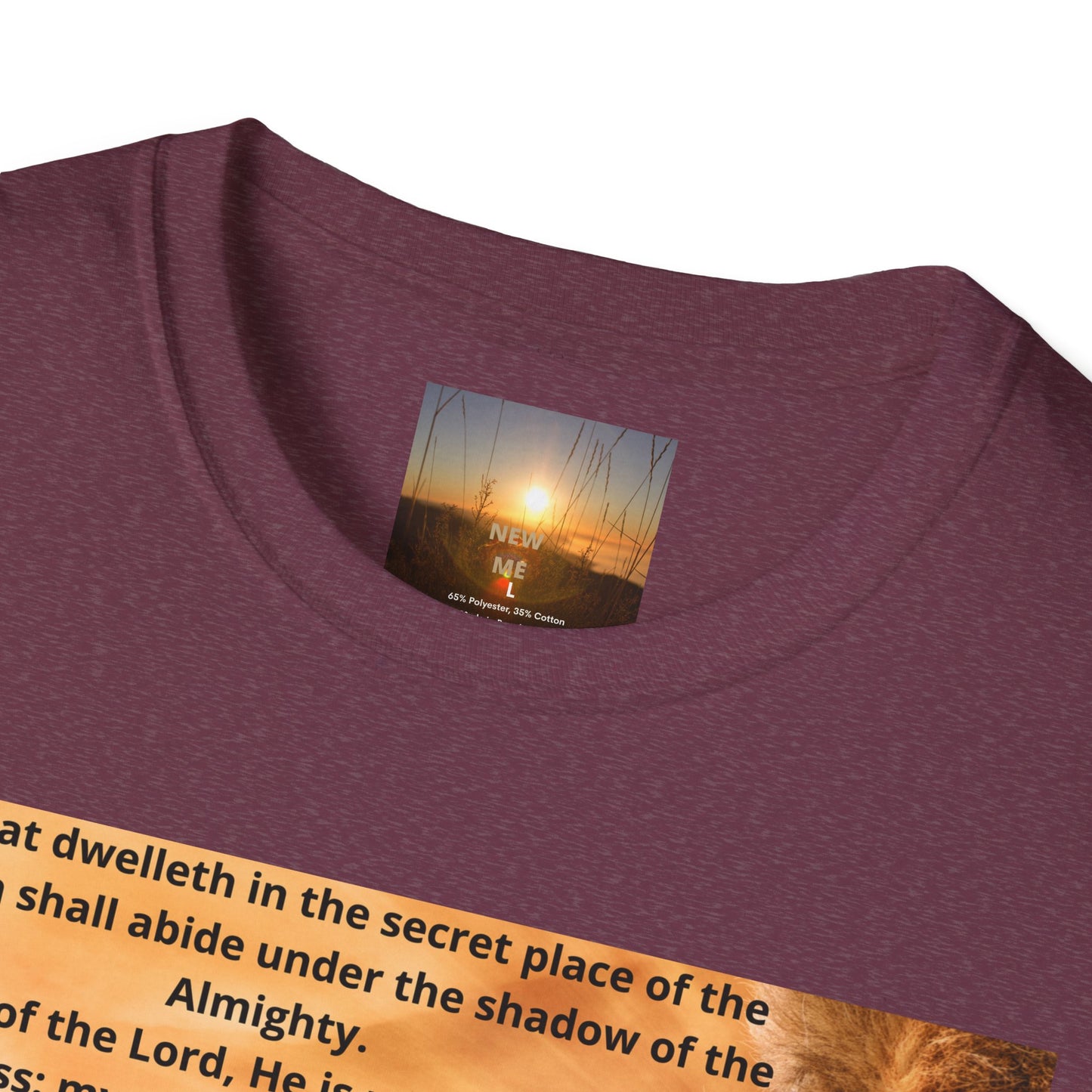 PSALM 91 Inspirational Lion T-Shirt, Motivational Tee, Unisex Quote Shirt, Positive Vibes Wear, Nature Lover Gift