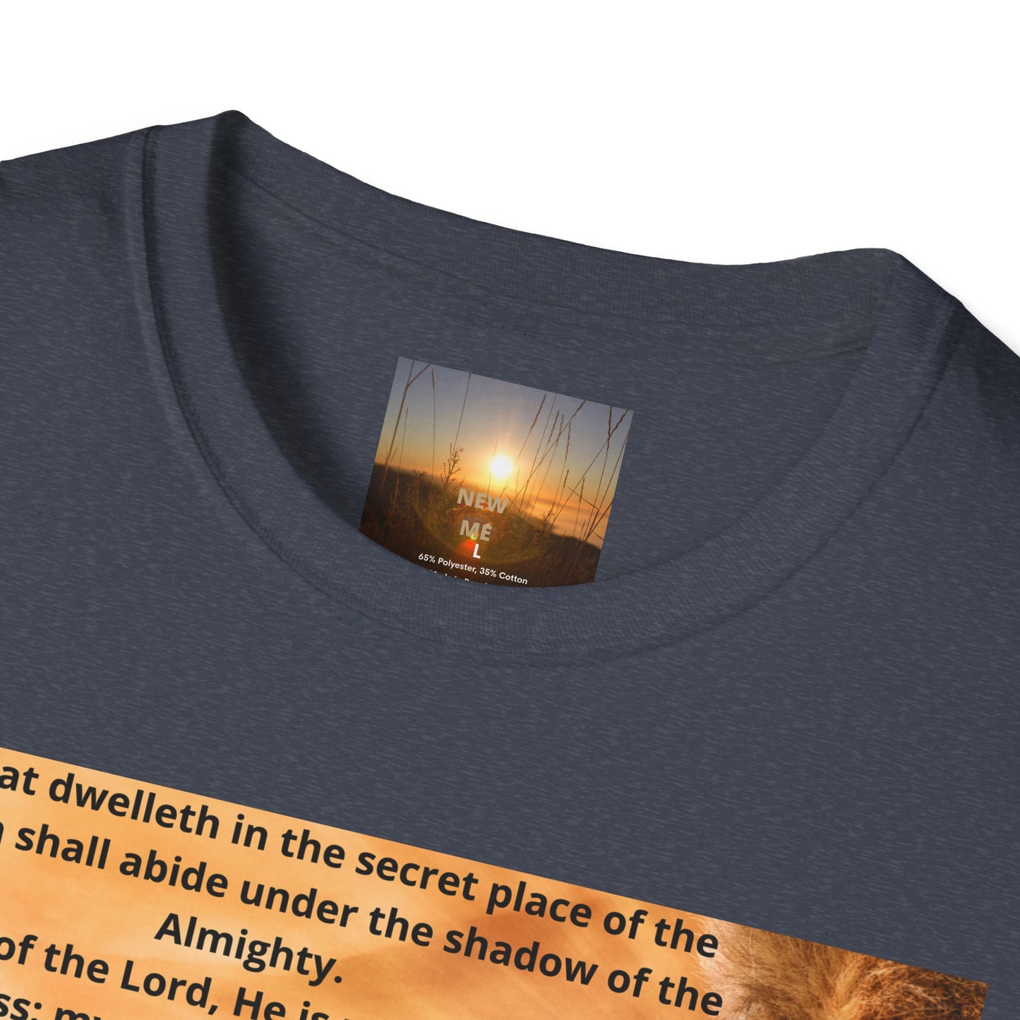 PSALM 91 Inspirational Lion T-Shirt, Motivational Tee, Unisex Quote Shirt, Positive Vibes Wear, Nature Lover Gift