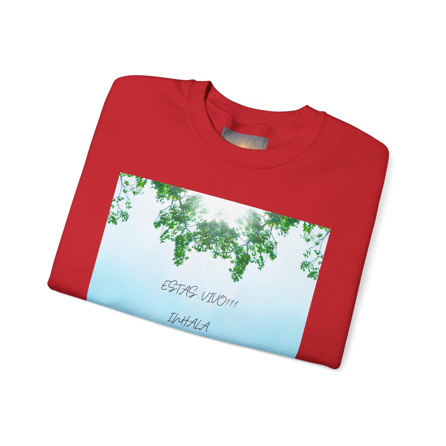 ESTAS VIVO Crewneck Sweatshirt, Unisex Cozy Apparel, Perfect Gift for Nature Lovers, Relaxed Fit for Every Day, Ideal for [...]