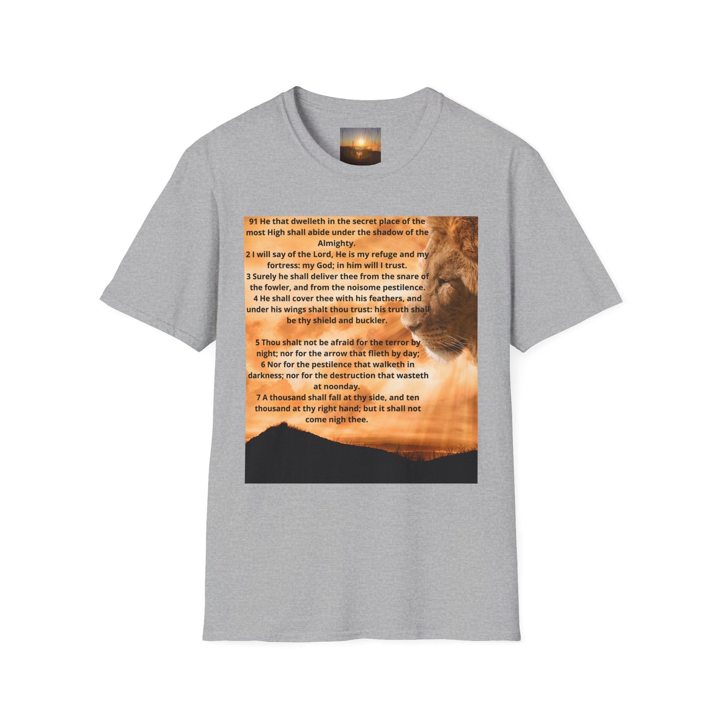 PSALM 91 Inspirational Lion T-Shirt, Motivational Tee, Unisex Quote Shirt, Positive Vibes Wear, Nature Lover Gift