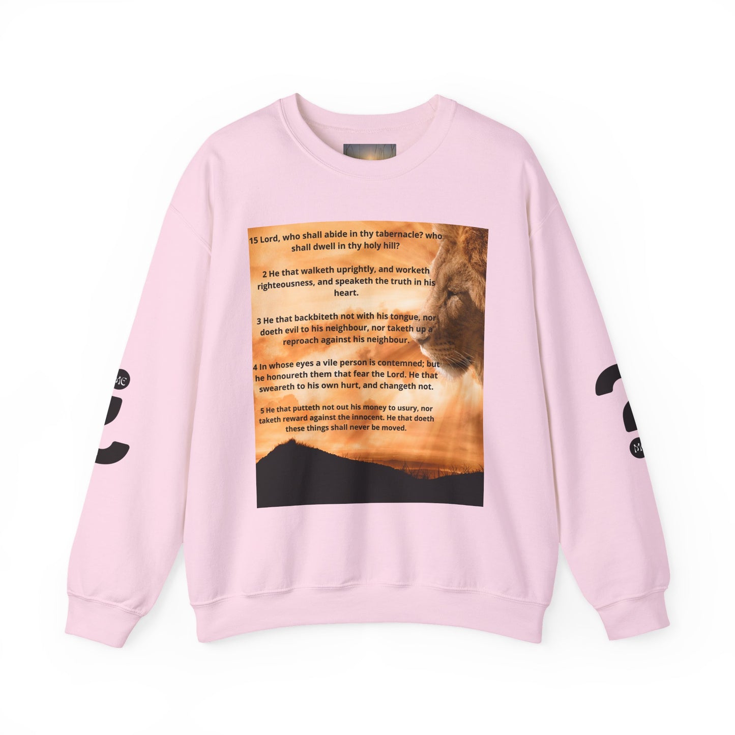 PSALM 15 Lion Crewneck Sweatshirt, Motivational Top for Animal Lovers, Gift Idea for Birthdays, Cozy Apparel for Everyday [...]
