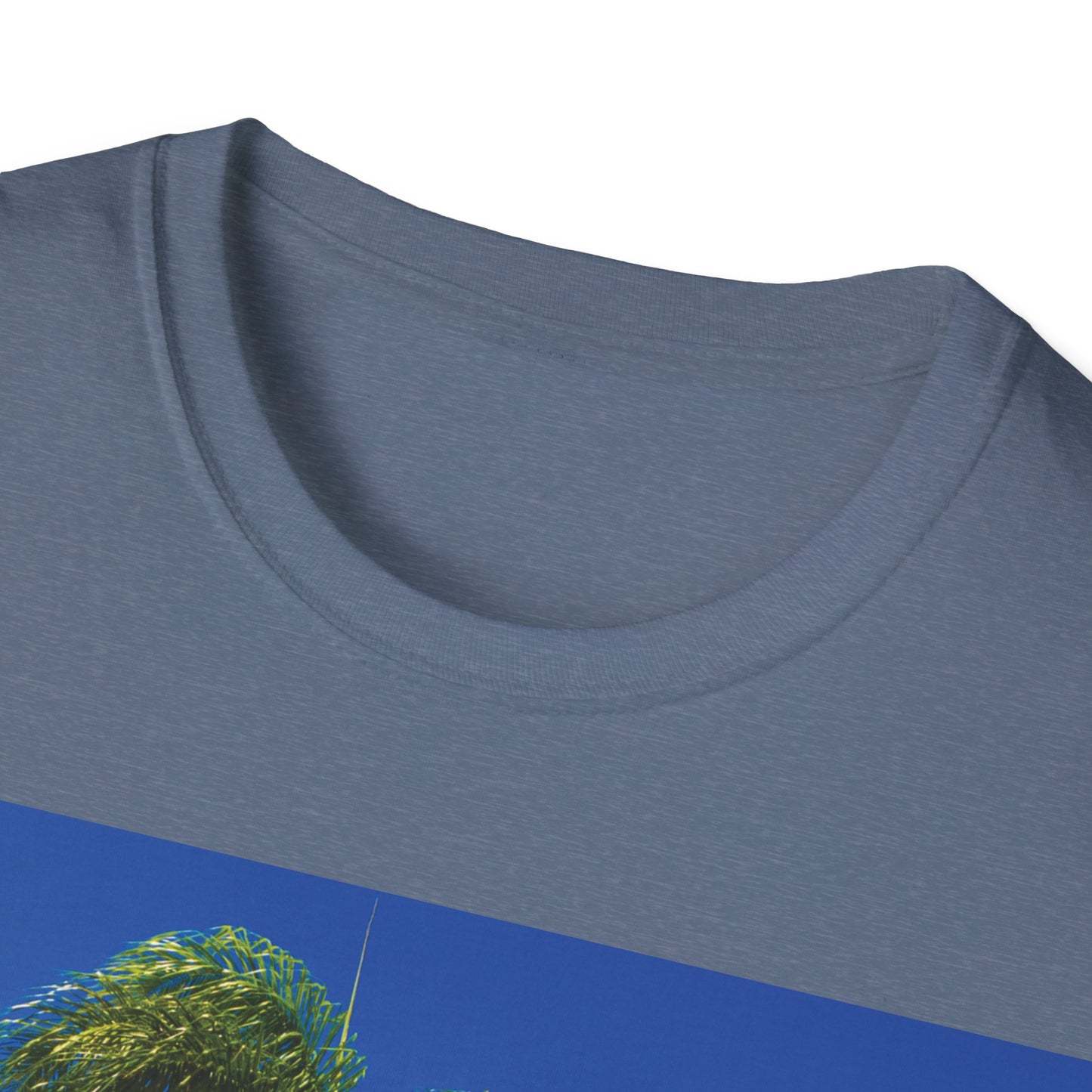 EL DOMINICANITO ESE Unisex Softstyle T-Shirt
