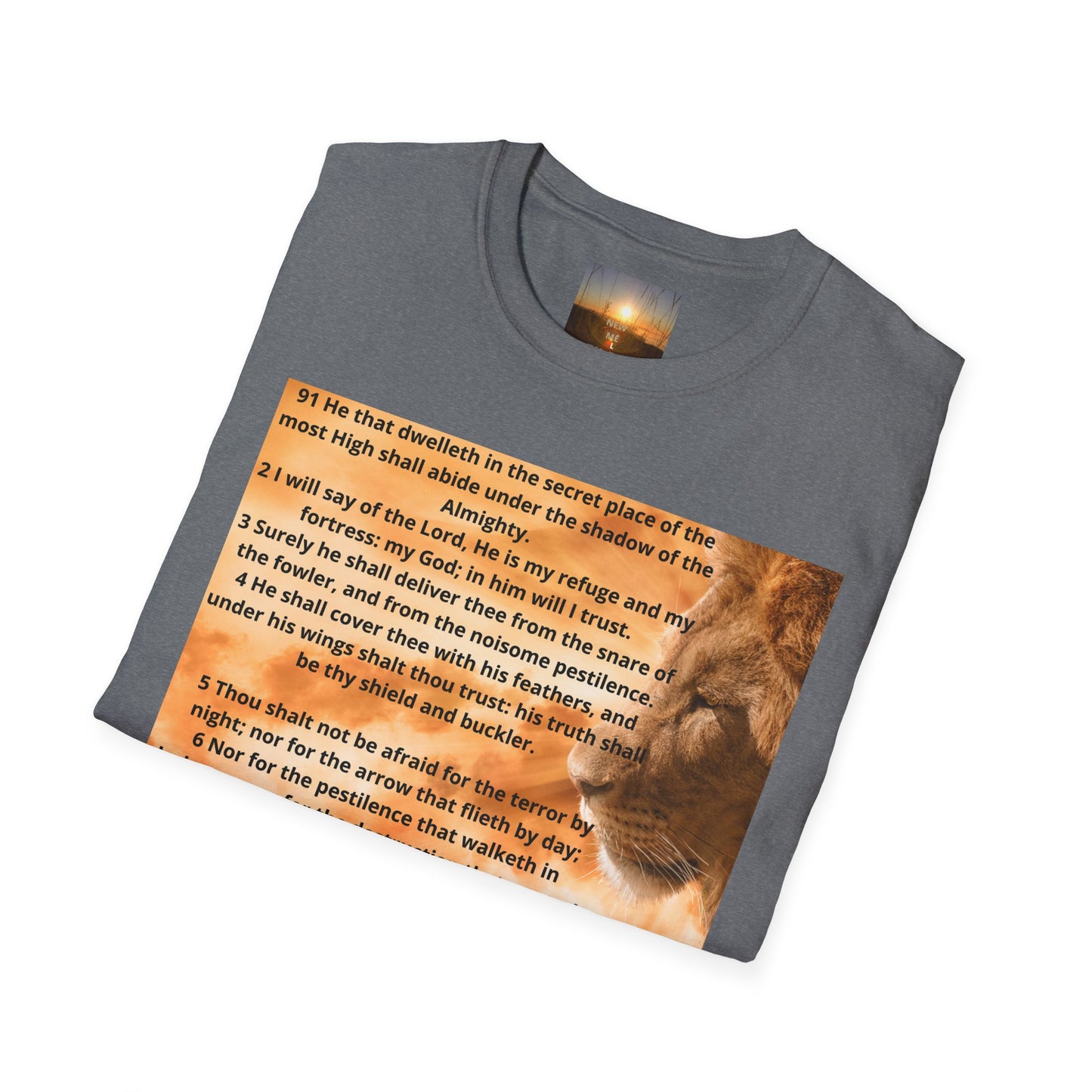 PSALM 91 Inspirational Lion T-Shirt, Motivational Tee, Unisex Quote Shirt, Positive Vibes Wear, Nature Lover Gift