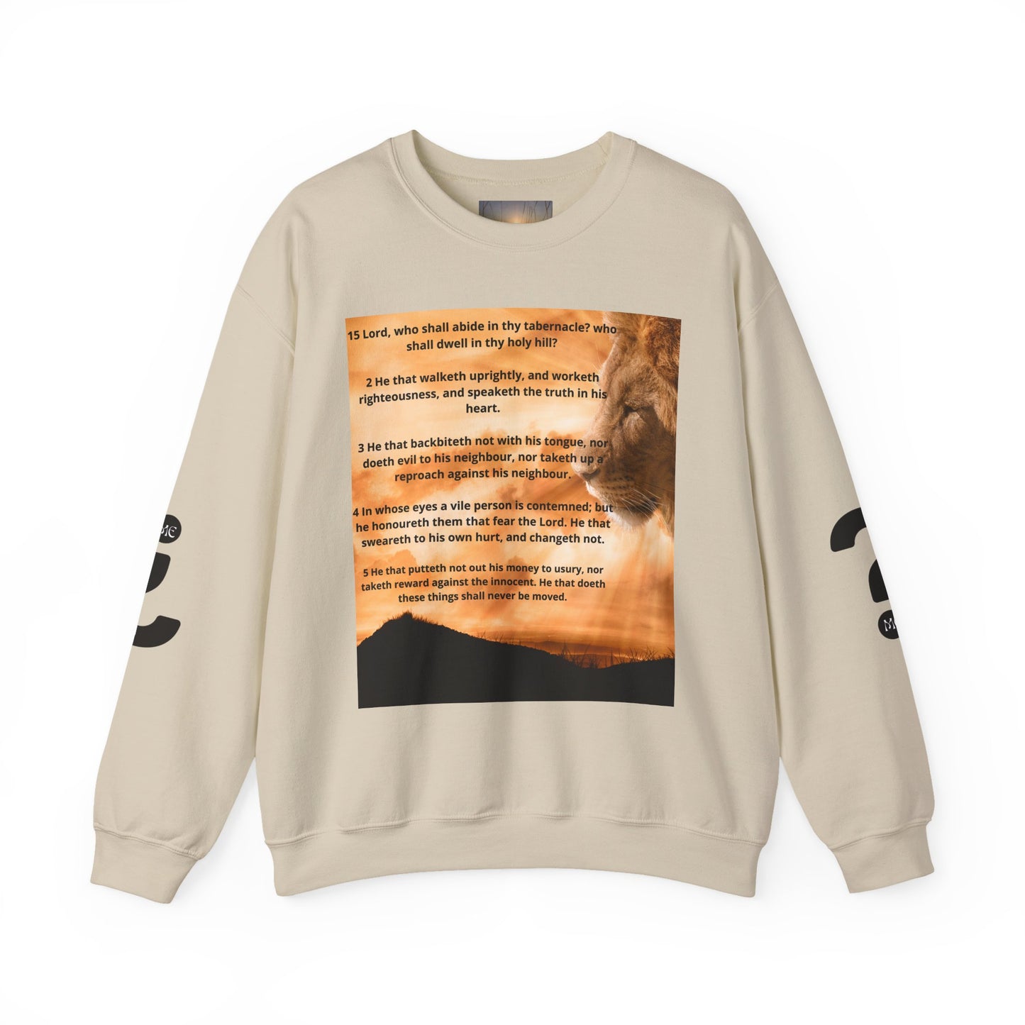 PSALM 15 Lion Crewneck Sweatshirt, Motivational Top for Animal Lovers, Gift Idea for Birthdays, Cozy Apparel for Everyday [...]