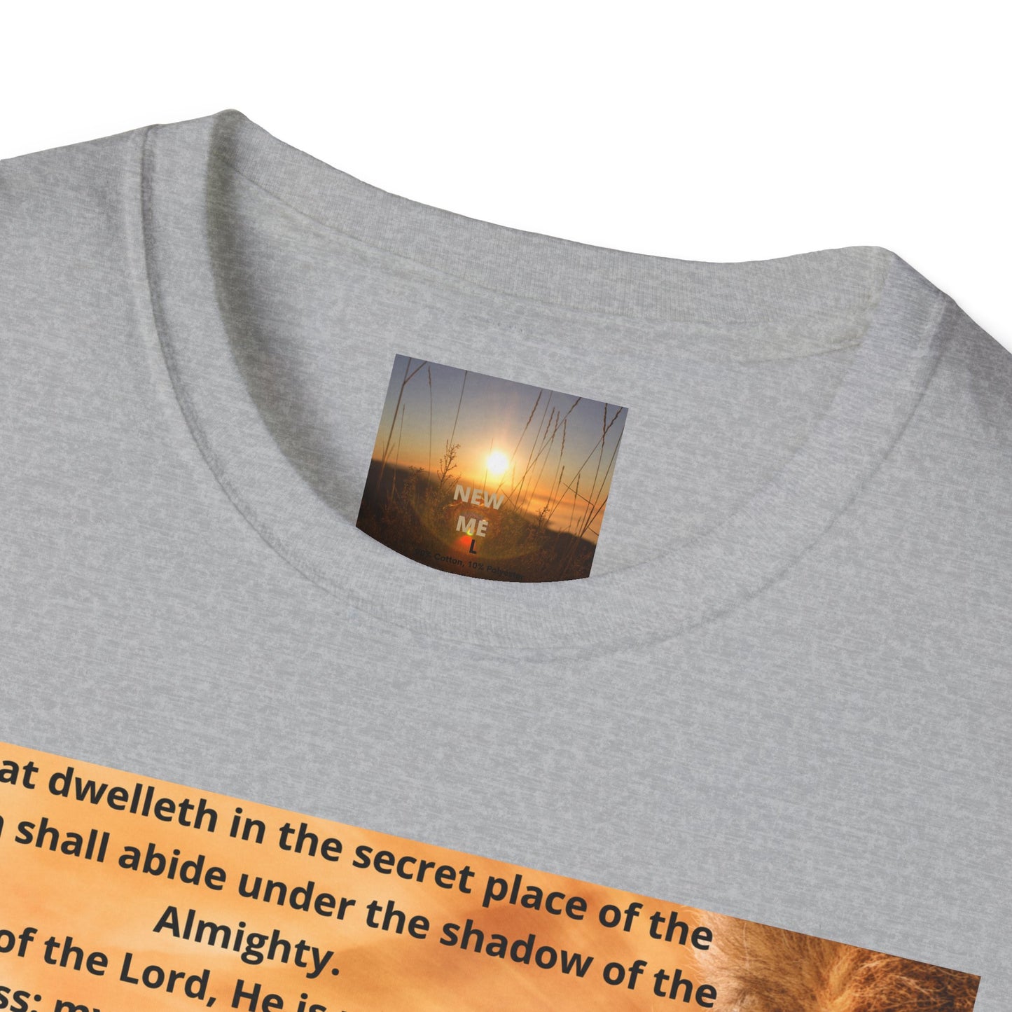 PSALM 91 Inspirational Lion T-Shirt, Motivational Tee, Unisex Quote Shirt, Positive Vibes Wear, Nature Lover Gift