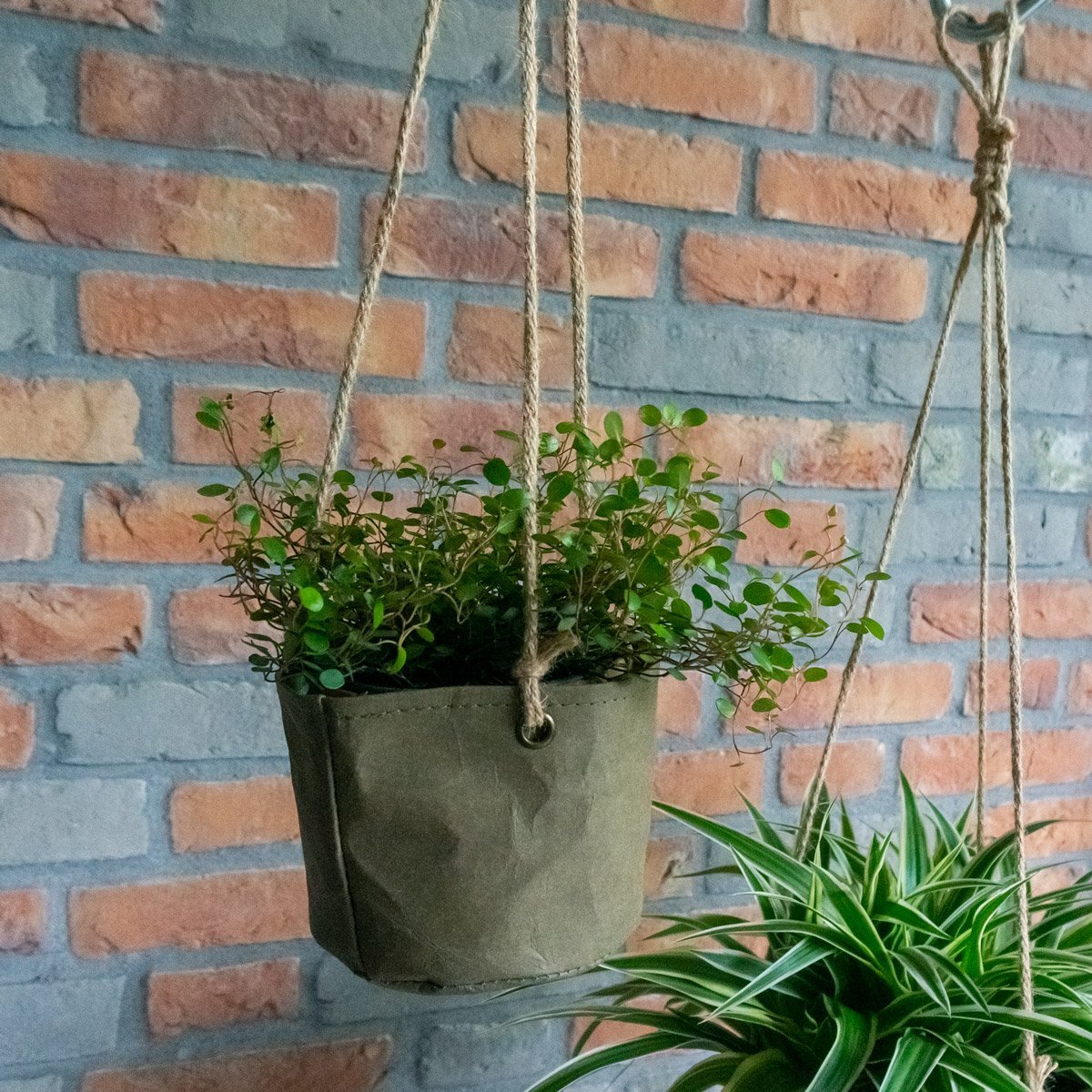 Storage Box, Hanging Basket, Plant Pot