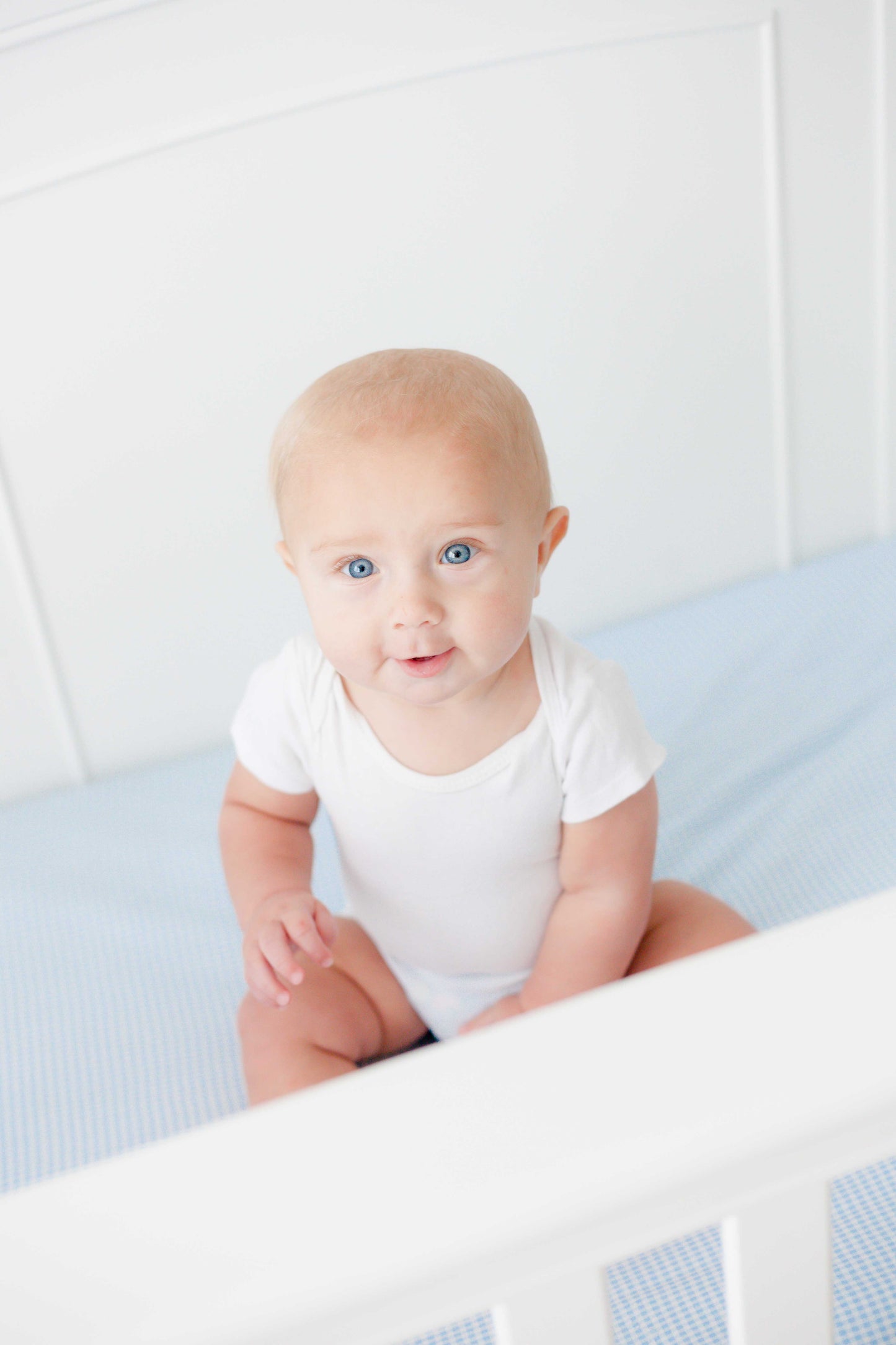 SheetWorld Fitted Crib Sheet - 100% Cotton Jersey - Blue Gingham, Made