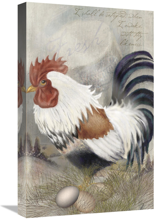 Global Gallery GCS-121129-22-142 22 in. Coat of Many Colors Rooster Ar
