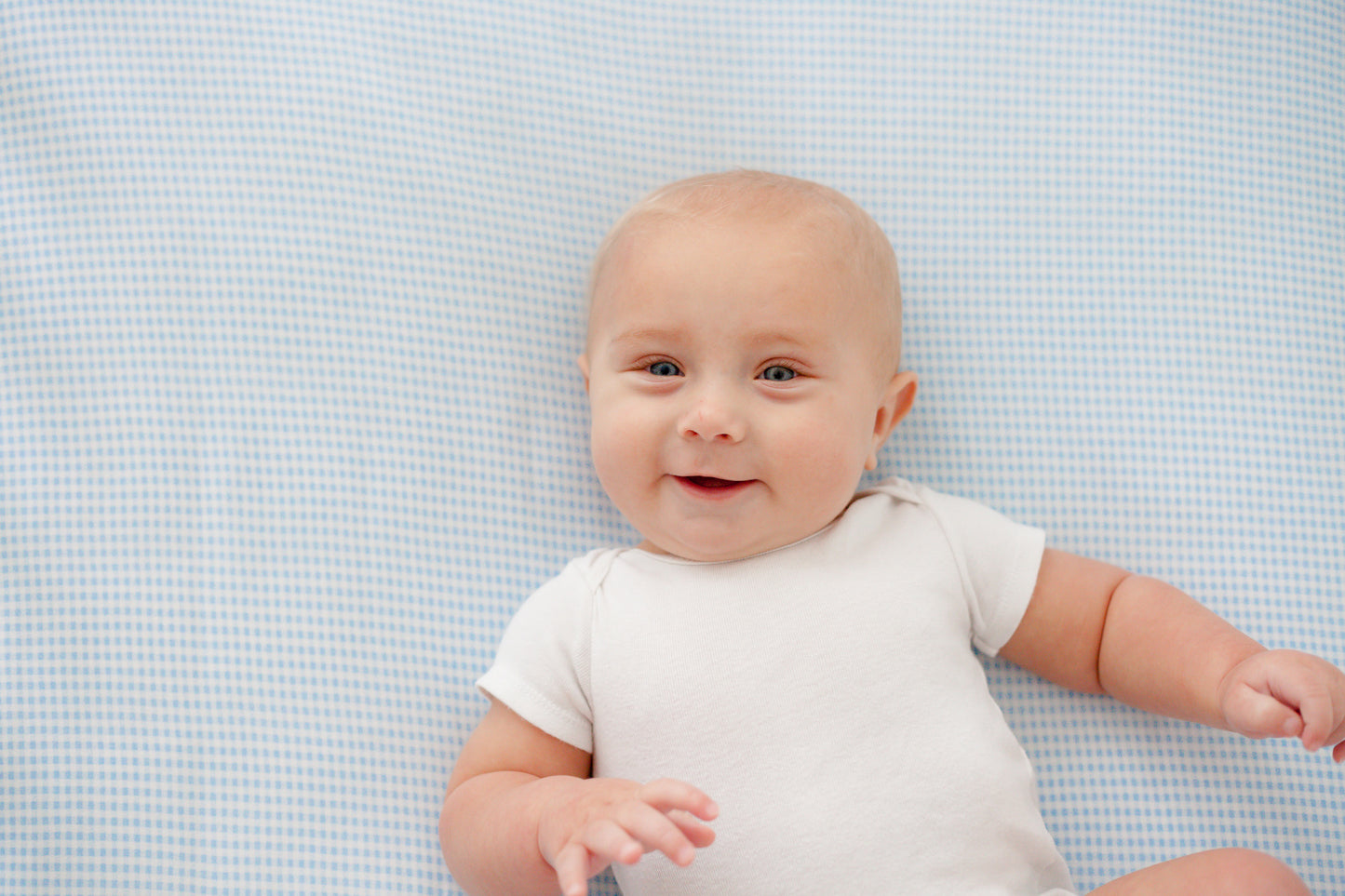 SheetWorld Fitted Crib Sheet - 100% Cotton Jersey - Blue Gingham, Made